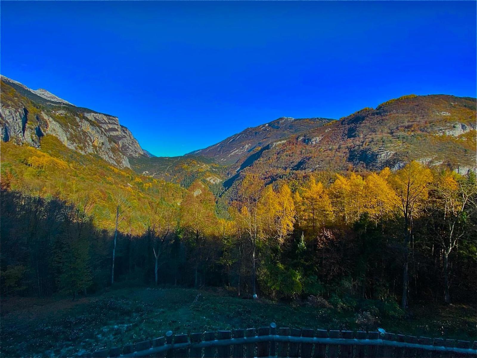 Chalet Torcel Affittacamere San Lorenzo Dorsino Eksteriør bilde